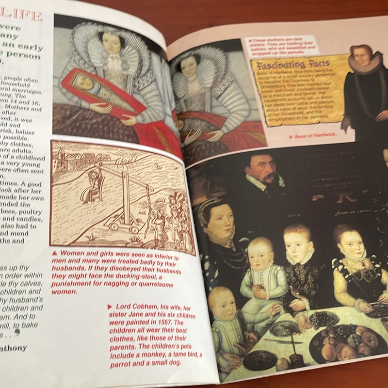 PICTURE BOOK History insights Tudors 536130