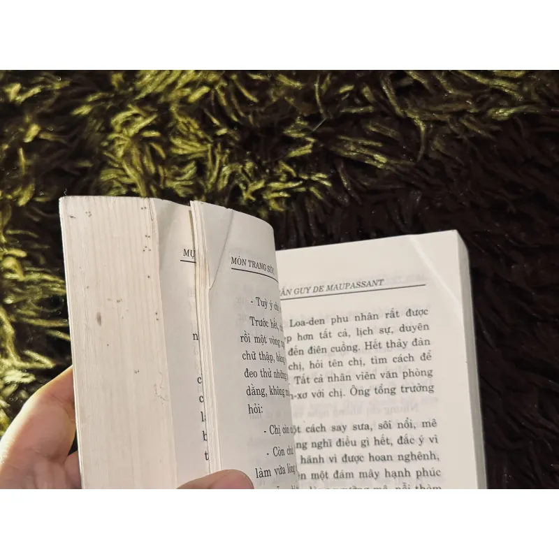 Tuyển tập truyện ngắn Guy De Maupassant 1020159