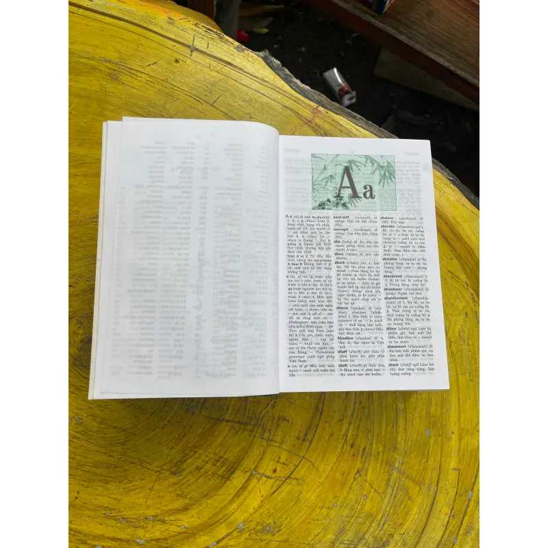 TỪ ĐIỂN ANH - VIỆT ENGLISH- VIETNAMESE DICTIONARY- VIỆN NGÔN NGỮ HỌC- NEW EDITION 731006