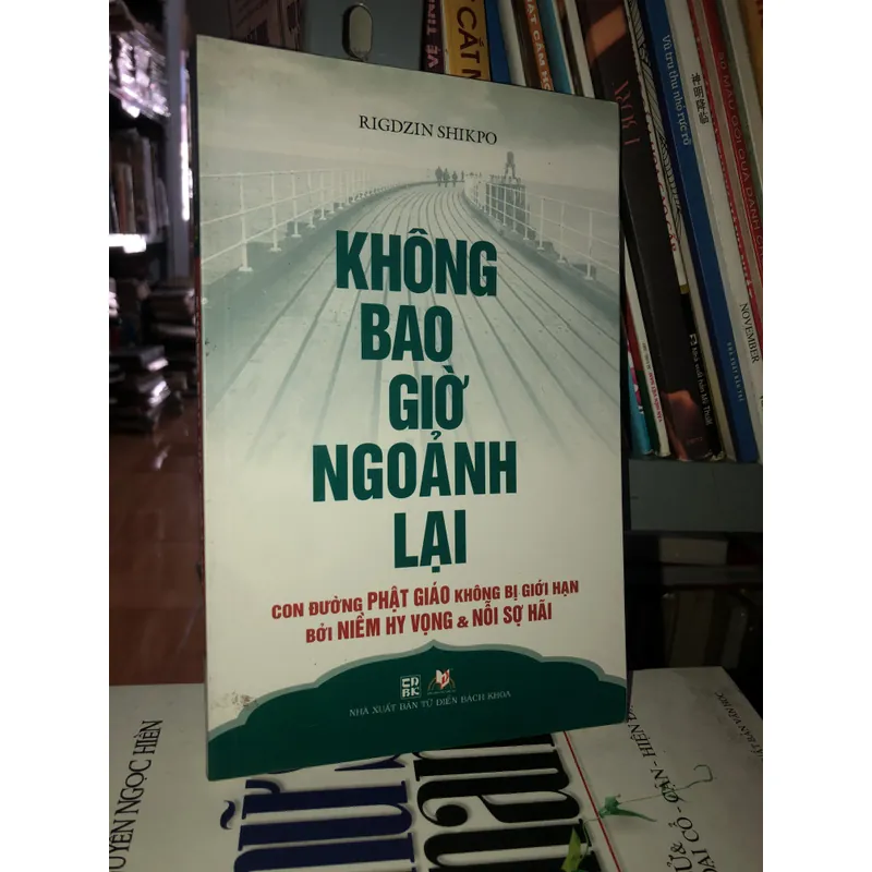 Không bao giờ ngoảnh lại - Rigdzin Shikpo 728217