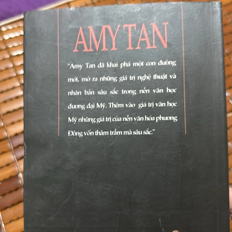 Phu nhân táo quân - AmyTan 534261