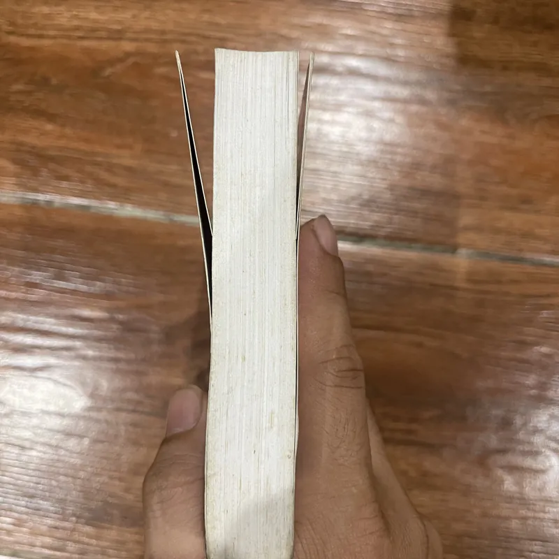 Thánh địa tội ác - William Faulkner (6) 570215