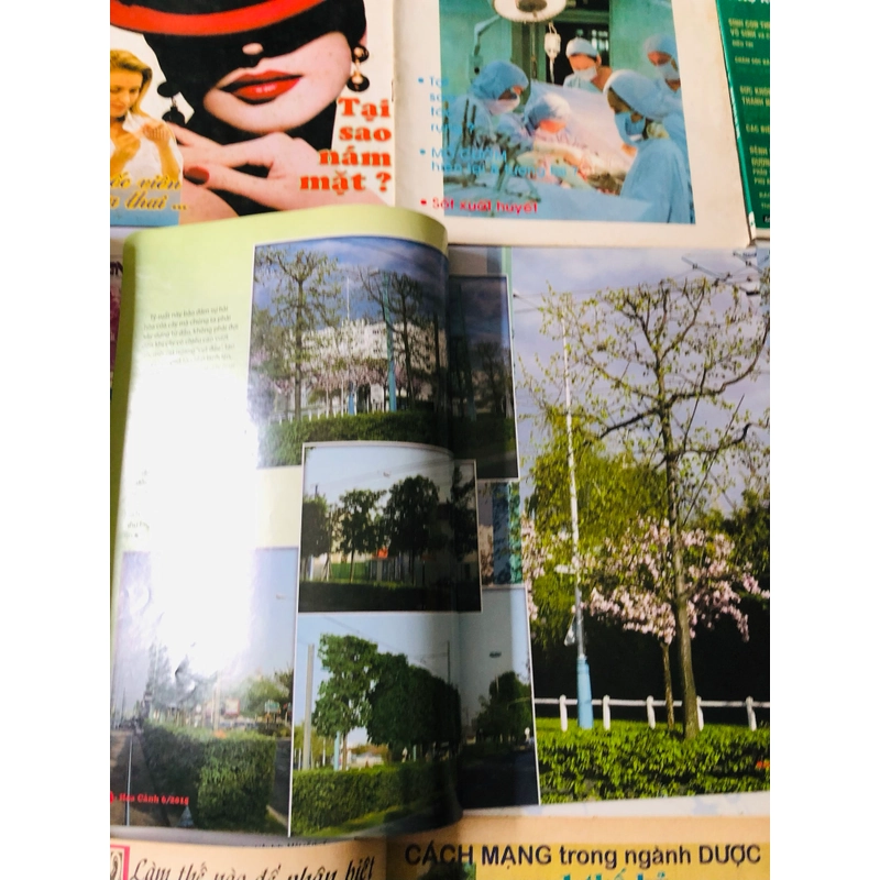 5. LÔ BÁO NHIỀU THỂ LOẠI 541732