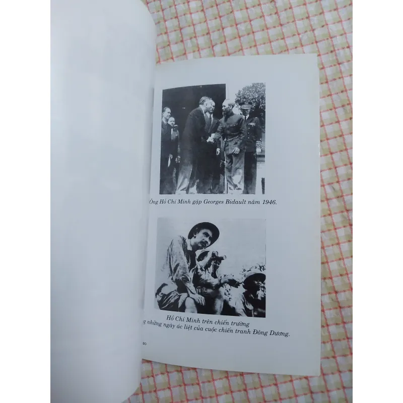 HỒ CHÍ MINH TỪ ĐÔNG DƯƠNG ĐẾN VIỆT NAM - DANIEL HÉMERY - Sách ít gặp 961622