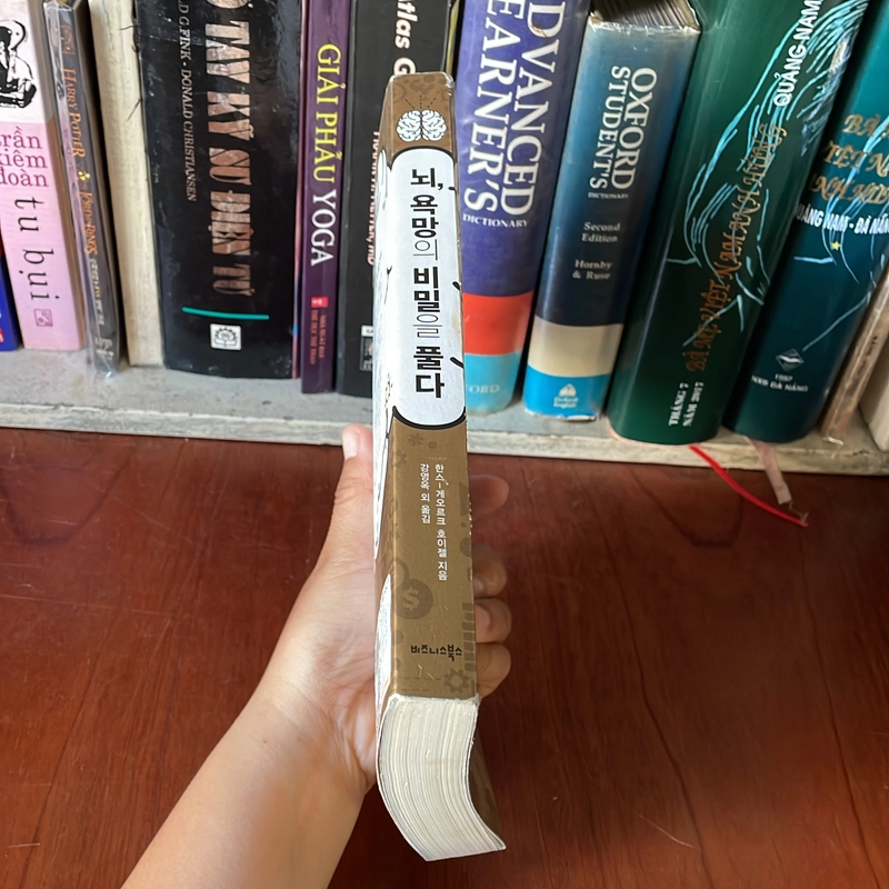 II BRAIN _ 인간의 소비심리를 지배하는 뇌과학의 비밀 _ 뇌, 욕망의 비밀을 풀다 539557