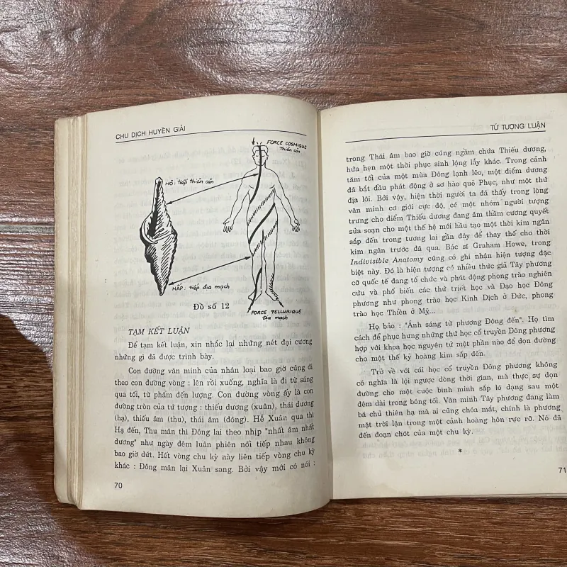 Chu dịch huyền giải - Nguyễn Duy Cần (k1) 766992