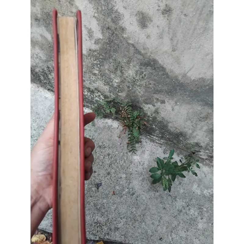 Quyền sư truyện của Trần Việt Trung  1025093