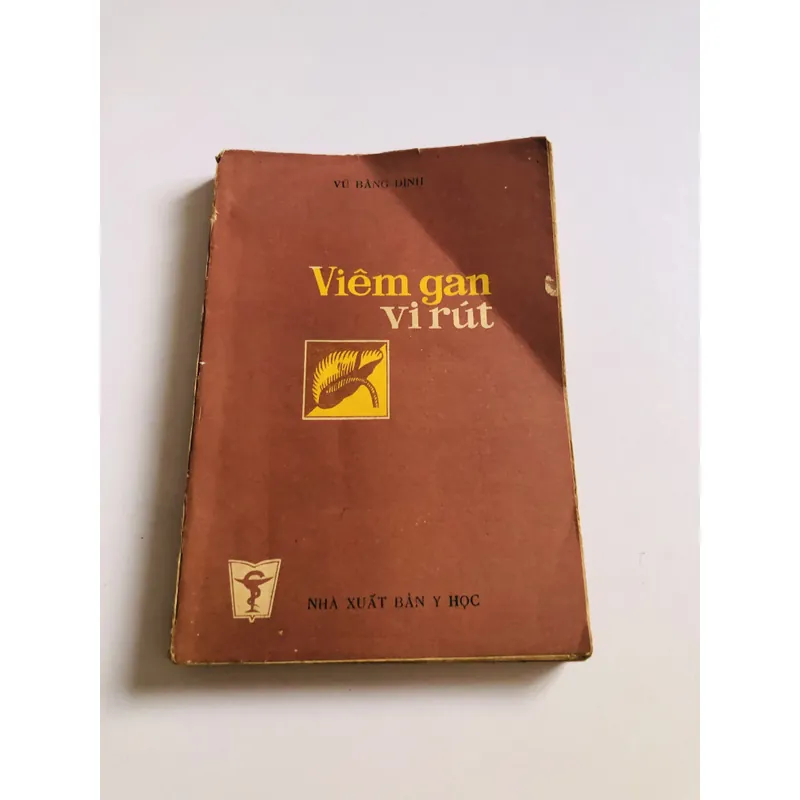 VIÊM GAN VI RÚT  707181