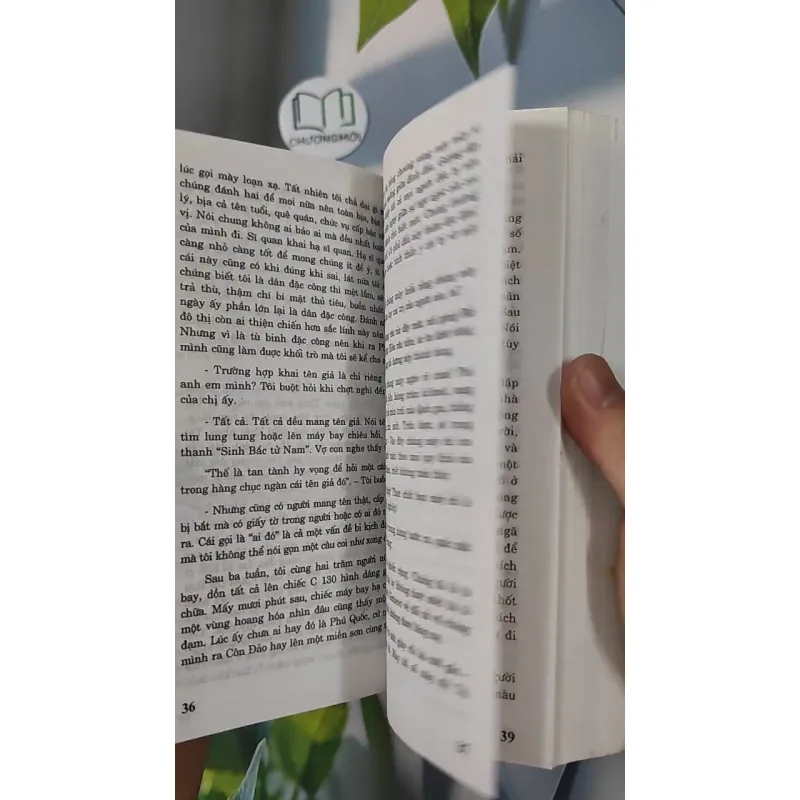 Nhà Lao Cây Dừa - Chu Lai 798338