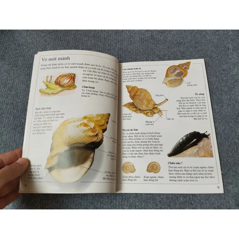 ÁO GIÁP ĐỘNG VẬT 720729