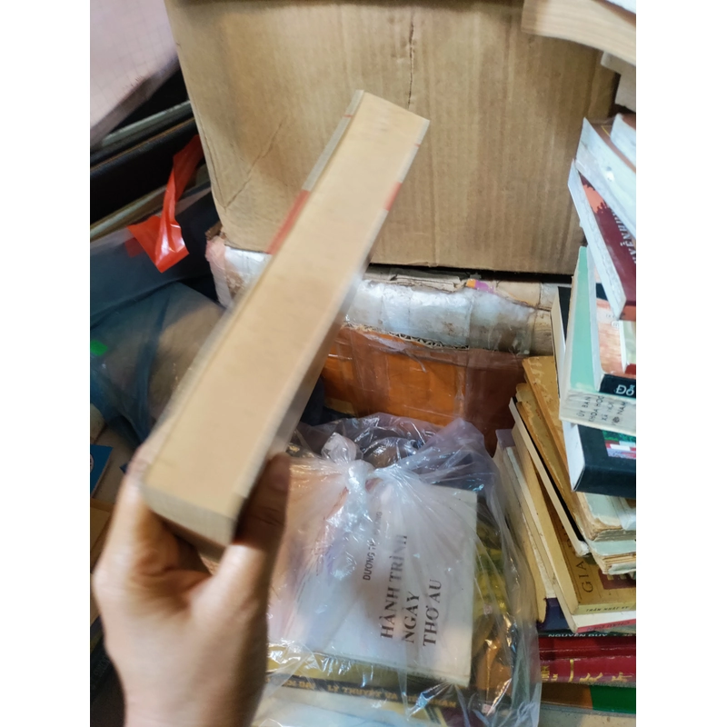 Nền văn hoá mới của Việt Nam 466583