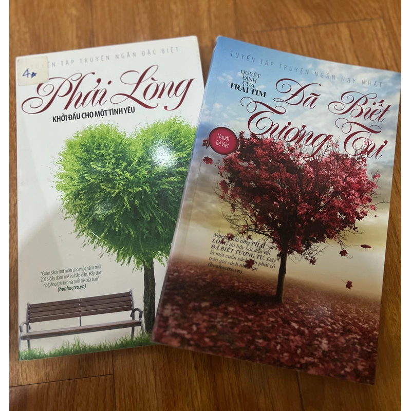 Sách "Phải lòng" + "Đã biết tương tư" 536583