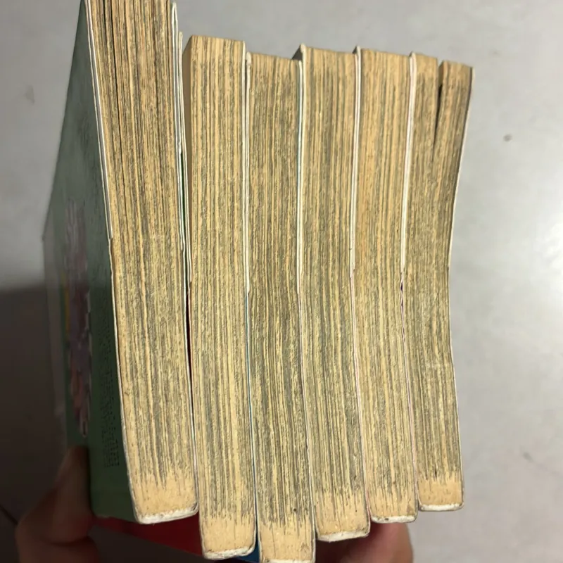 Cuộc phiêu lưu của Pippi (combo 6 cuốn) 970317