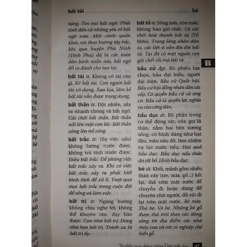 Từ điện giáo khoa tiếng Việt tiểu học 697871