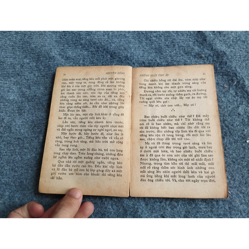 NHỮNG NGÀY THƠ ẤU - NGUYÊN HỒNG 478551
