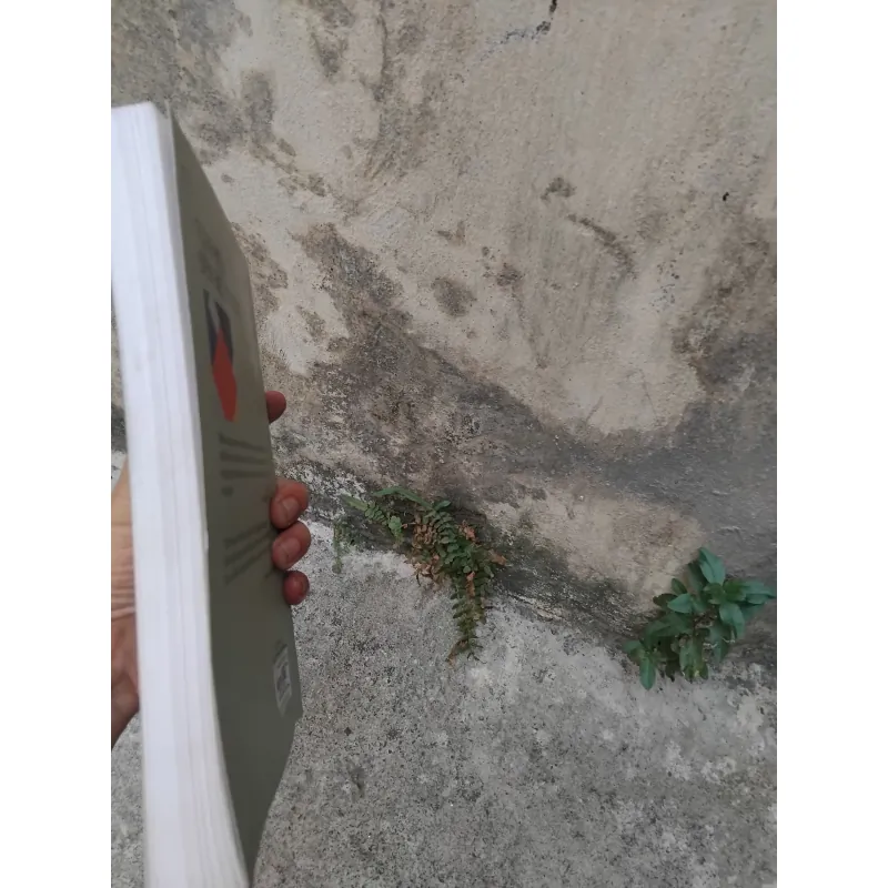 Từ kí hiệu đến biểu tượng do Trịnh Bá Đĩnh chủ biên  1006750