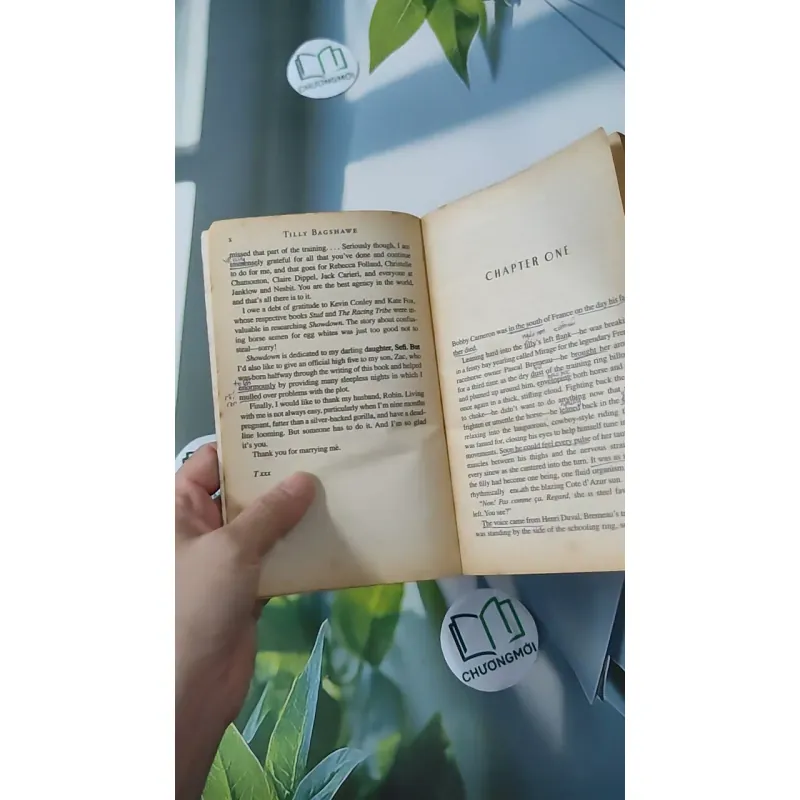 Showdown - Tilly Bagshawe 1027176