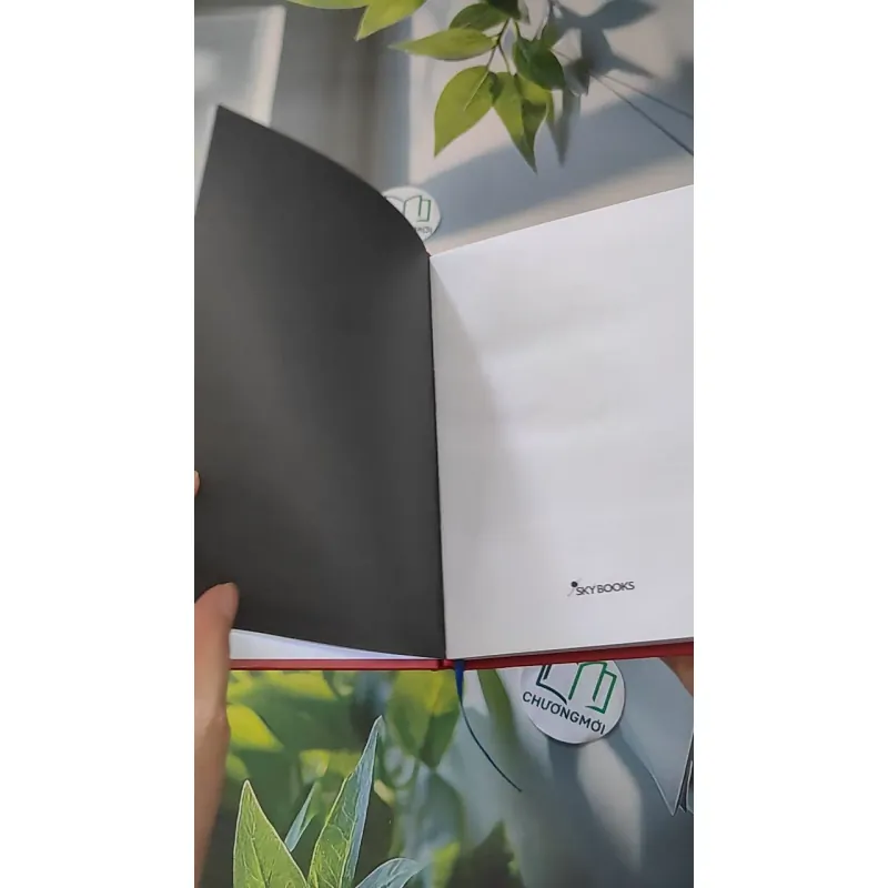 Em - Liêu Hà Trinh 990080