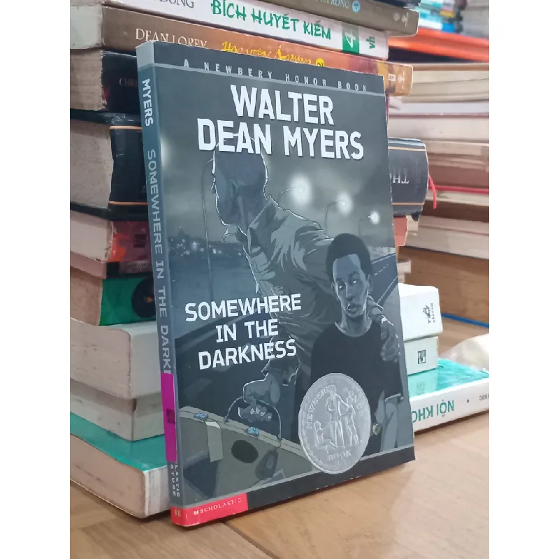 Somewhere in the darkness - Walter Dean Myers 704159
