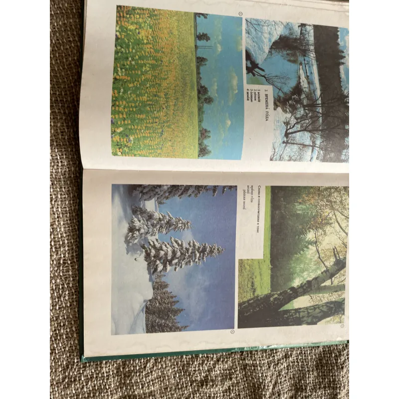 Иллюстрированный темотиЧеСкий-  словарь русского ЯЗЫКО- từ điển minh họa tiếng Nga  1003978