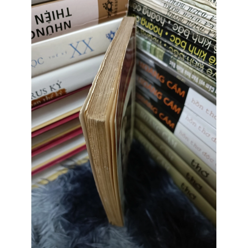 Mưa nguồn (Bùi Giáng) 477751