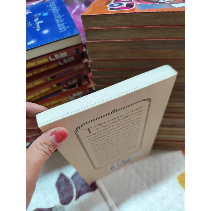 VIỆT NAM PHONG TỤC – PHAN KẾ BÍNH (SÁCH VĂN HÓA KINH ĐIỂN) - K4 1019020