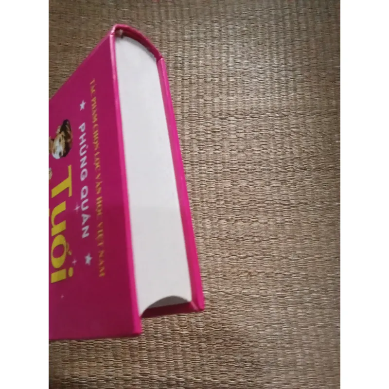 Tuổi Thơ Dữ Dội - Phùng Quán 927615