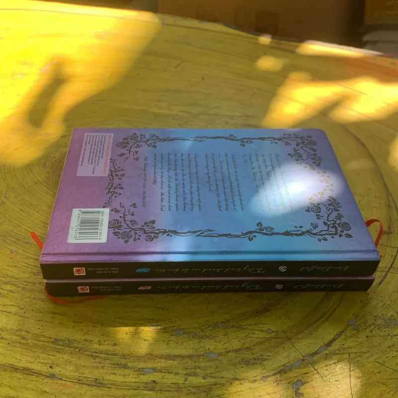 TƯ DUY KINH DOANH CỦA BÀ BÁN LẨU- ĐOÀN DIỆU LINH HAI TẬP BÌA CỨNG  785103