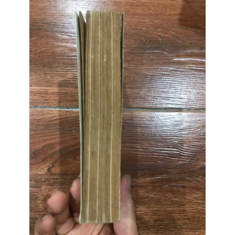 Đi thăm đất nước - Hoàng Đạo Thúy (9) 466012