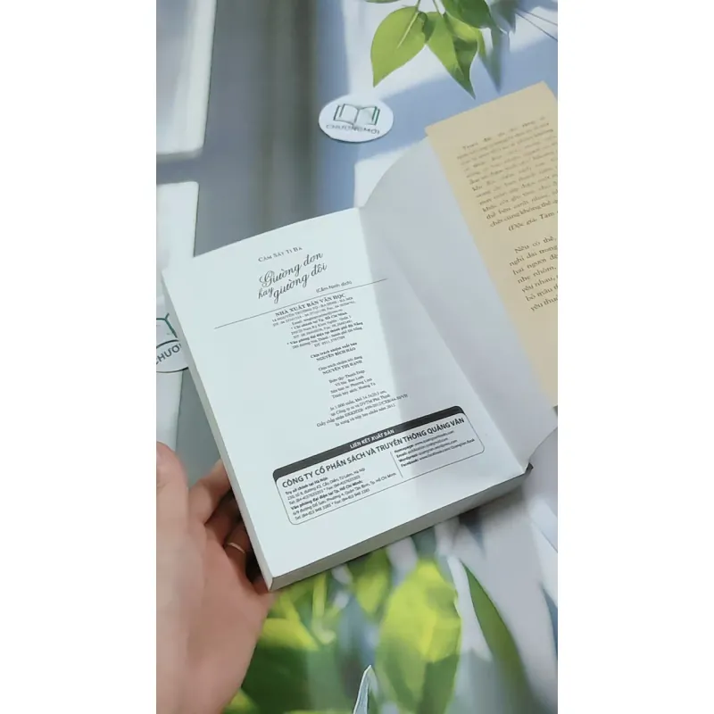 Giường Đơn Hay Giường Đôi - Cầm Sắt Tỳ Bà 744730