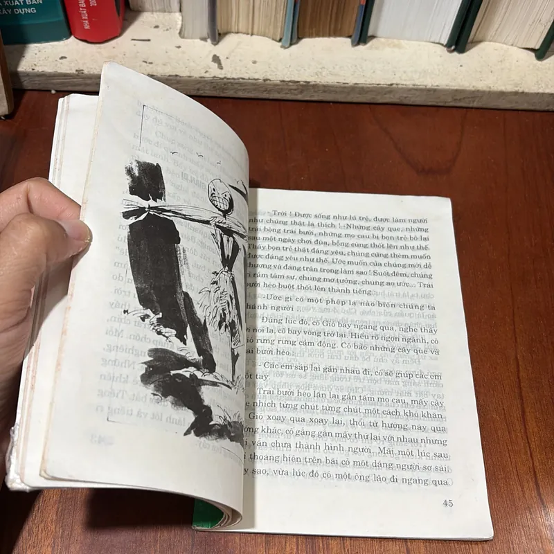 II Sách Thiếu Nhi: Nắng Phương Nam - Trần Hoài Dương - 1998 722491