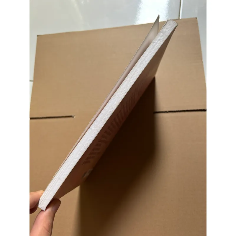 Võ Duy Dương với Đồng Tháp Mười 751989