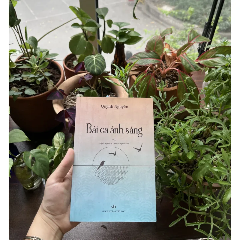 Bài Ca Ánh Sáng - Quỳnh Nguyễn 993605