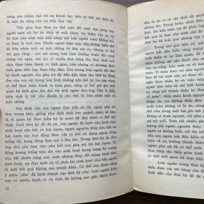 Lầu xanh và tội ác - Phùng Tinh Chí 972703