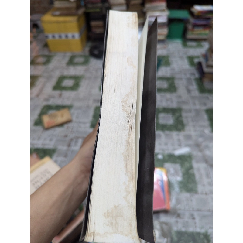 PHẠM QUỲNH TUYỂN TẬP DU KÝ 146879
