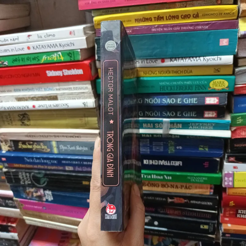 Trong Gia Đình- Hector Malot 692902