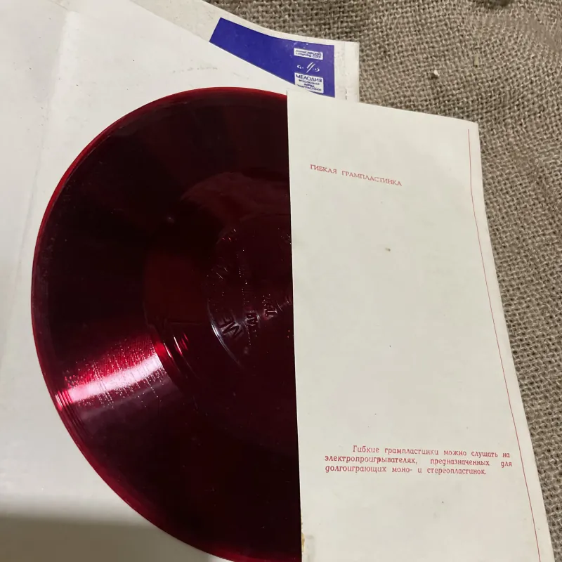 Đĩa than học tiếng Nga - Русская речь - интенсивно (Russian Speech - Intensive).  999346