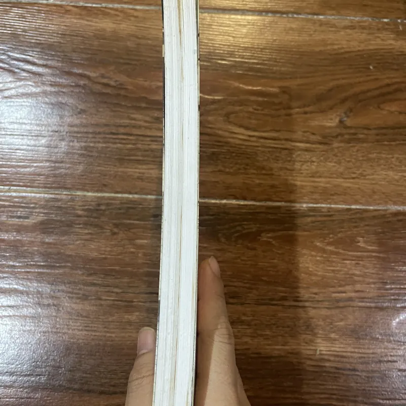 Người Thầy - Hồi ức của một nhà giáo Mỹ - Frank McCourt (6) 925663