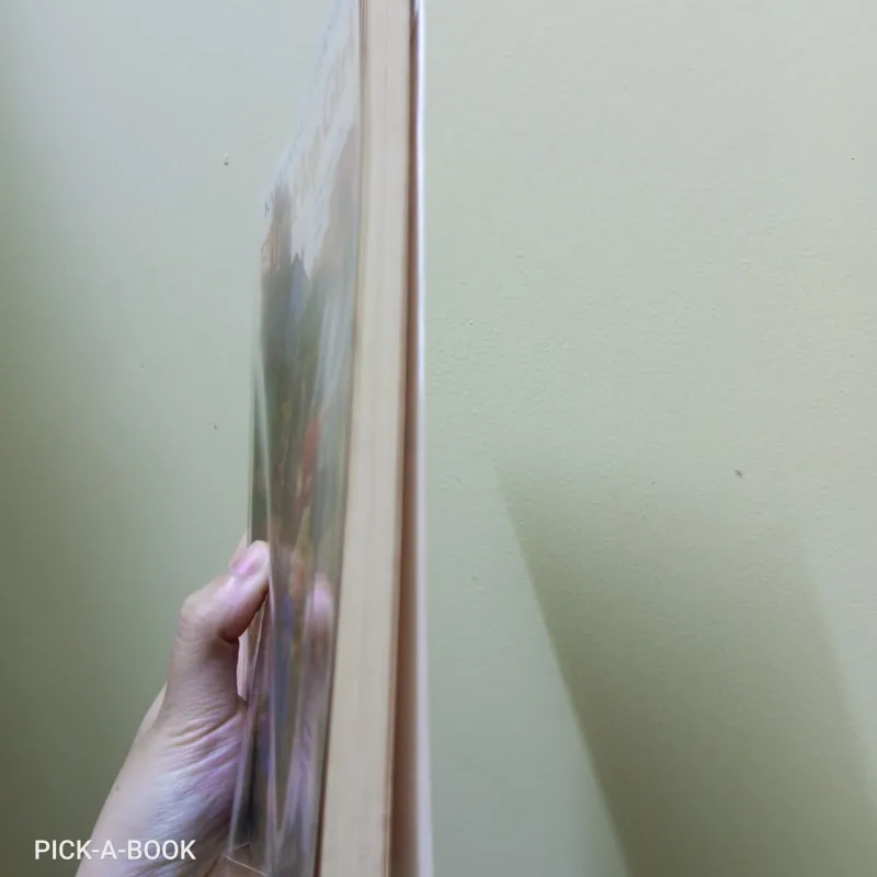 Tiểu thuyết Tiếng Anh cho thiếu niên The Flip-Flop Girl 992120