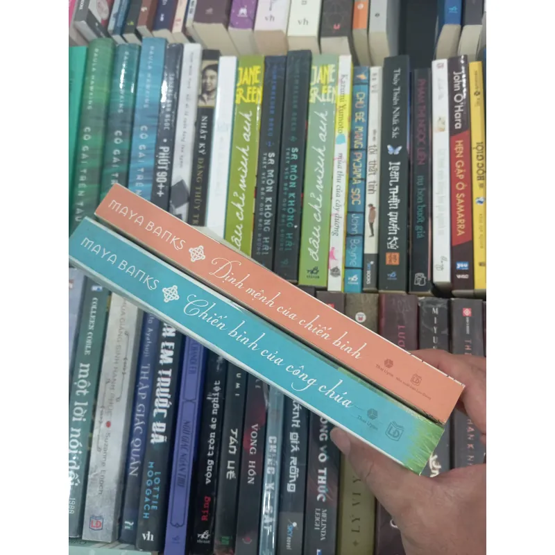 Chiến binh của công chúa 991115