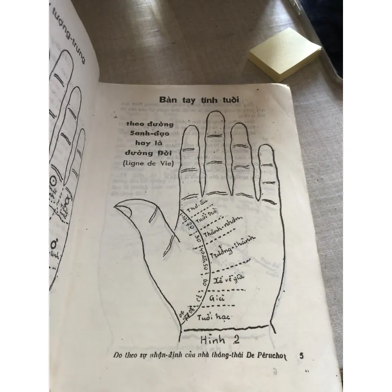 Những chỉ bí mật trong bàn tay 781035