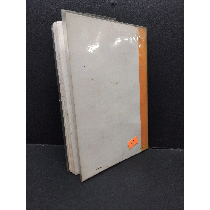 Bên rặng tuyết sơn mới 80% bẩn bìa, ố ẩm nhẹ 1999 HCM2110 Nguyên Phong VĂN HỌC 917232