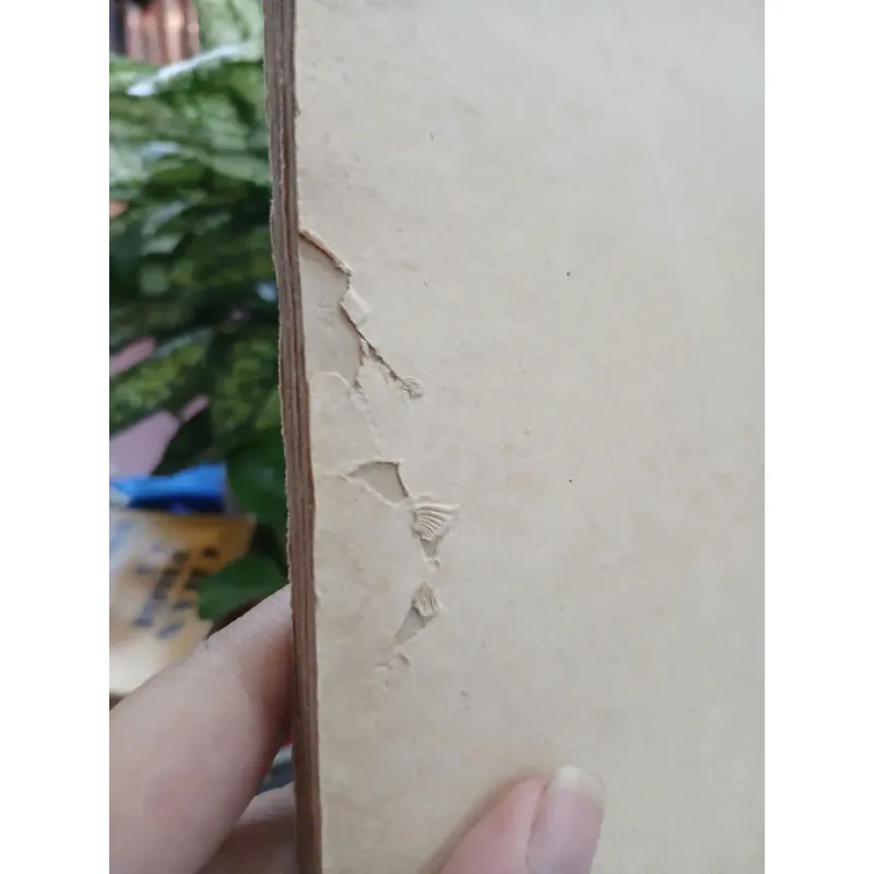 NGƯỜI BẪY CHIM THÔNG MINH 1002053