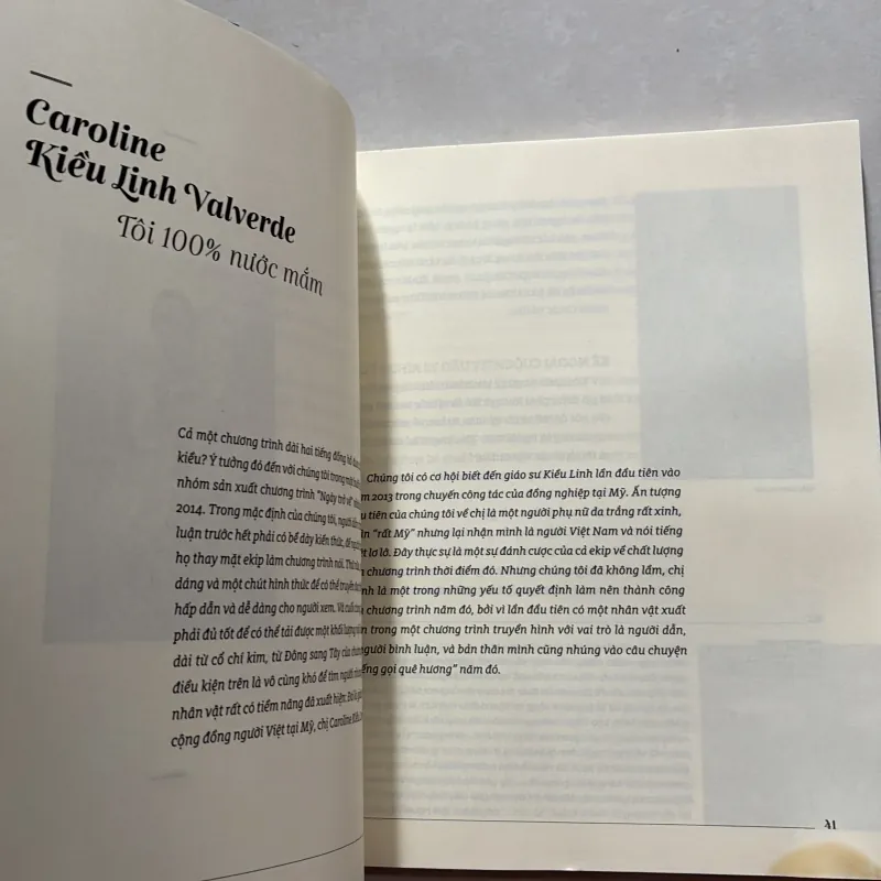 Ngày trở về! Mẹ ơi, con là người Việt Nam (t01) 750108