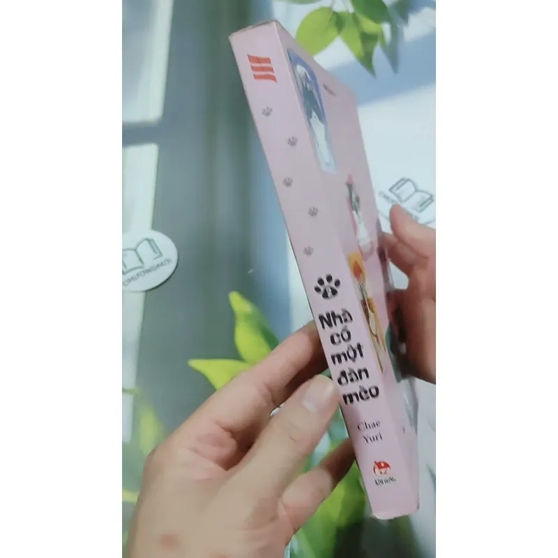 Nhà Có Một Đàn Mèo 2 - Chae Yuri 744718