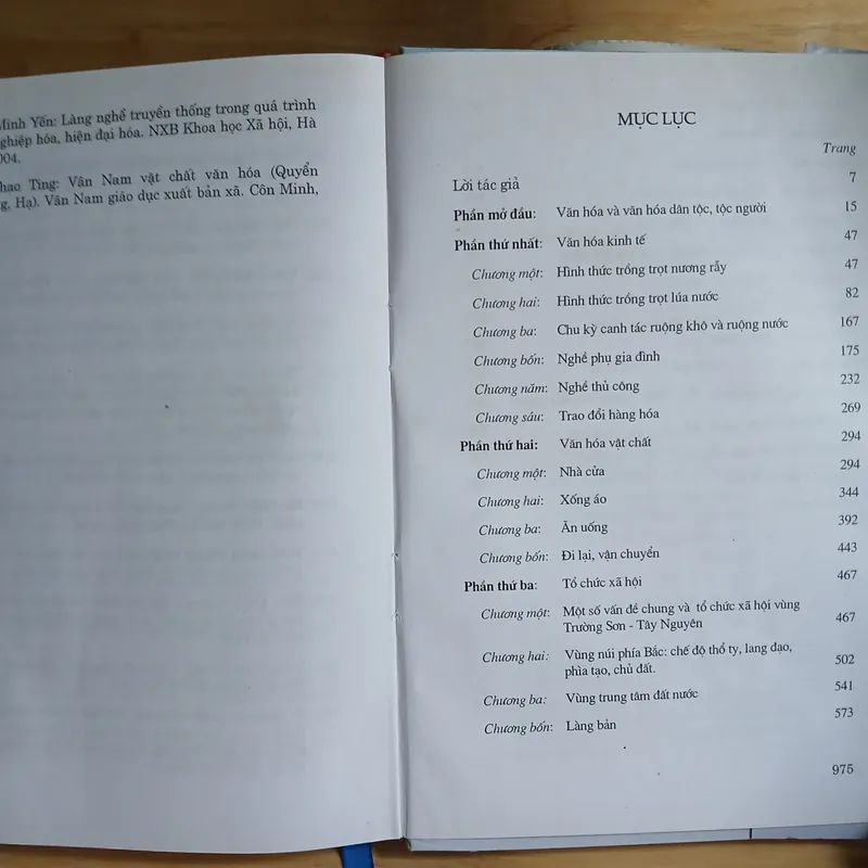 Văn Hóa Việt Nam Đa Tộc Người - Đặng Nghiêm Vạn 716808