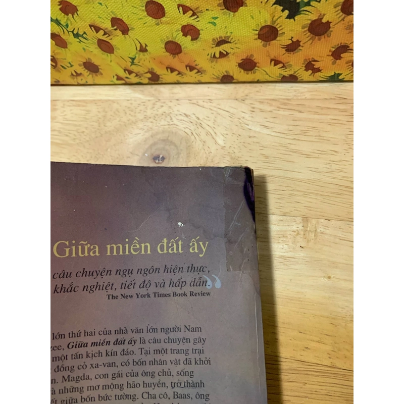 Giữa Miền Đất Ấy - J.M.Coetzee 539887