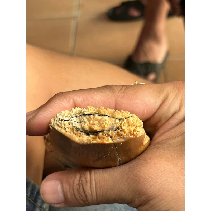 Tượng Phật bằng Ng xưa  398849