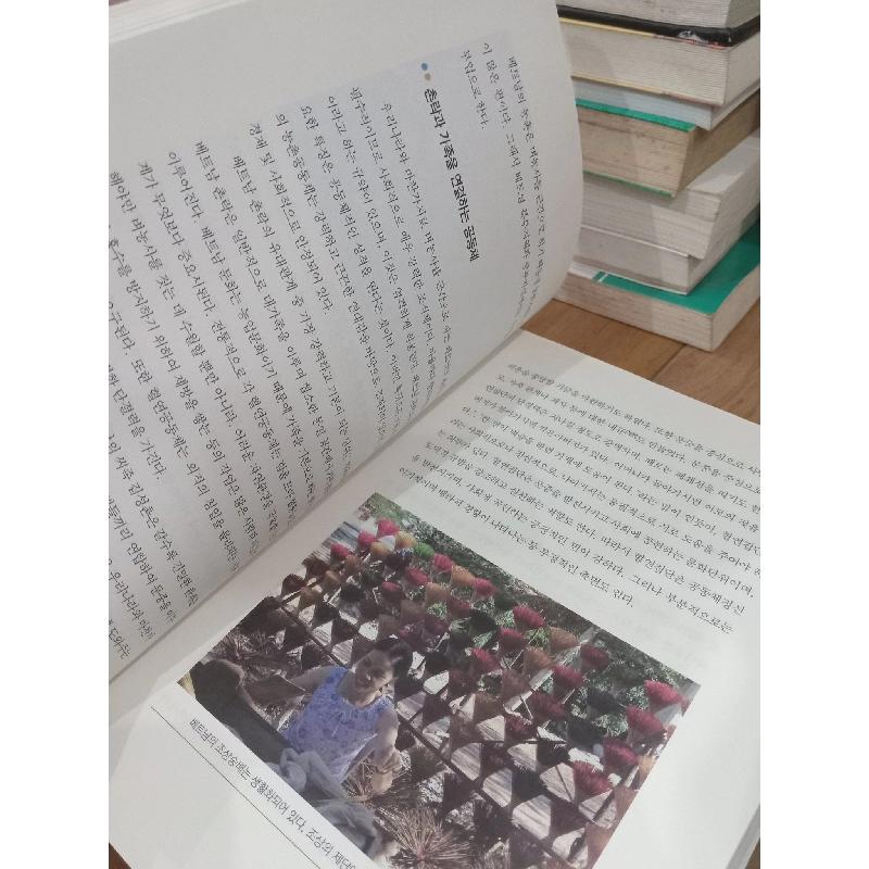 Sách tiếng Hàn 5 728190