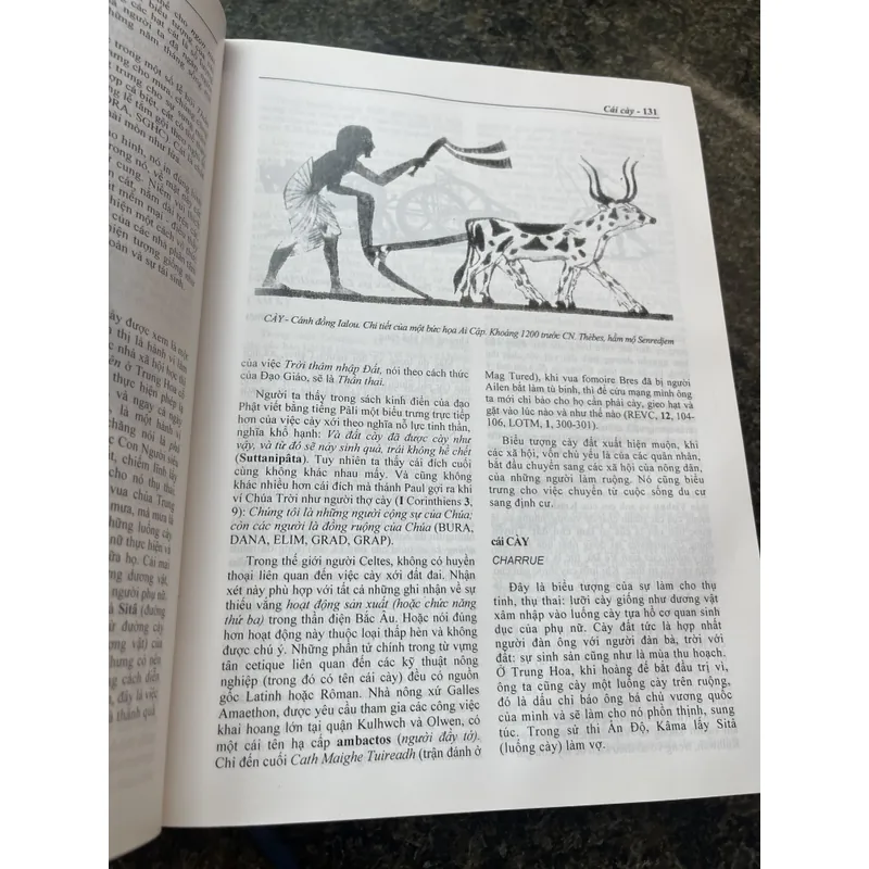 Từ điển Biểu tượng văn hoá thế giới 697935